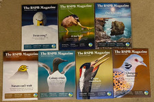 7 RSPB Magazines 2023 2024