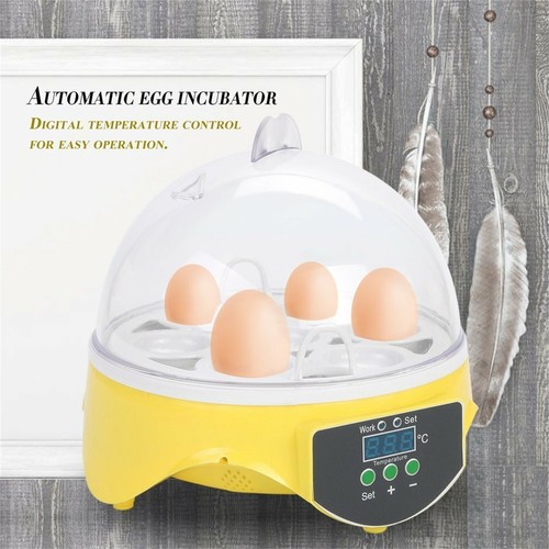 Egg incubator automatic - incubator,