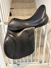 Kent and Masters 17” LGC