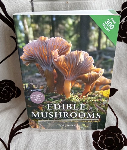 Edible mushrooms forager s - mushrooms, :