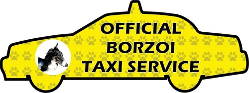 Funny borzoi dog taxi - taxi, sevice