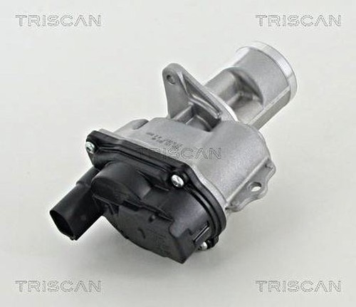 Egr valve triscan - egr, audi