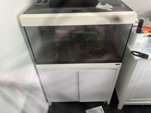 Fluval roma 125 fish tank - fluval,