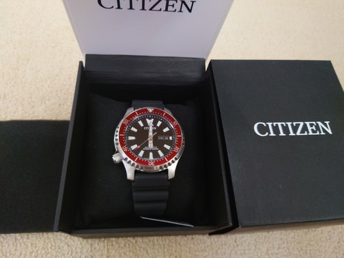 Citizen fugu ny0156 04e men - fugu,
