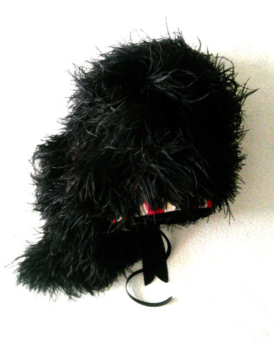 Feather bonnet scottish - feather,