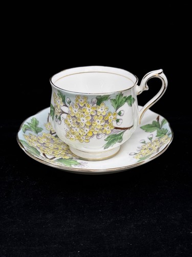 Royal albert hawthorn tea - albert, cup