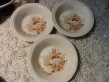 3 Dessert Bowl Poole Pottery Summer Glory Ex Cond Oven To Tableware 1970s 15.5cm