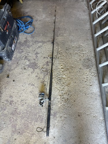 Fishing rod with - fishing, reel