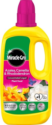 Miracle gro azalea camellia - miracle-gro,