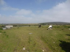 Photo A1 Pasture land near