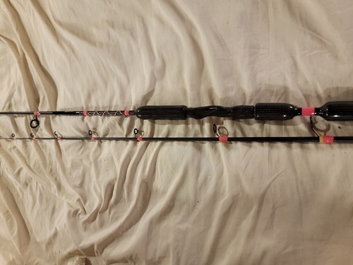 Custom fish pole - custom,