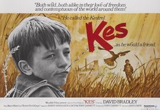 KES 1969 UK quad poster print 30x40" David Bradley Colin Welland FREE P&P rare