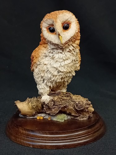 Country artists barn owl - artists, owl'