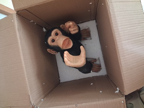 Monkey wine bottle - wine,