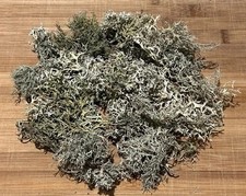 Natural Oak Moss Oakmoss