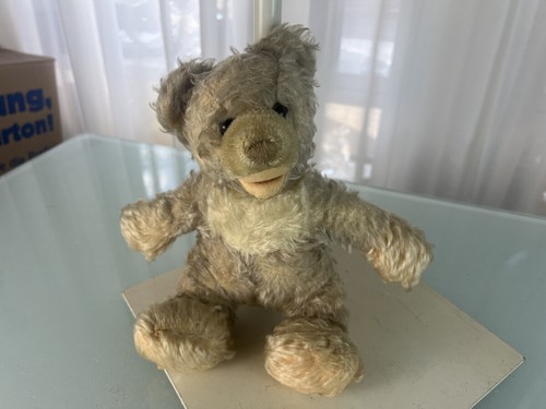 Old steiff animal teddy bear - animal,