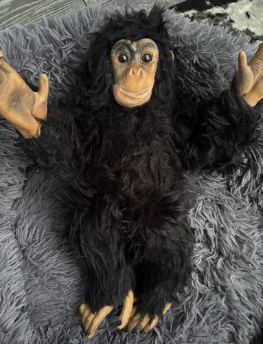 Deans monkey chimp from the - deans,