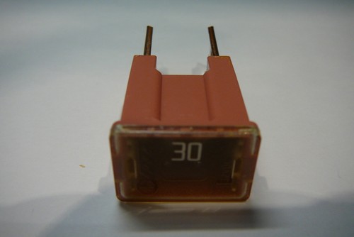 Amp pal pacific male - x,