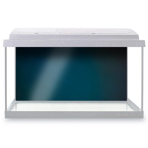 Fish tank background - fish,