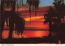 Beautiful Lake Postcard - 'End of a Perfect Day', Spanish Moss Sunset