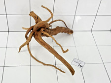 Premium Aquarium Natural