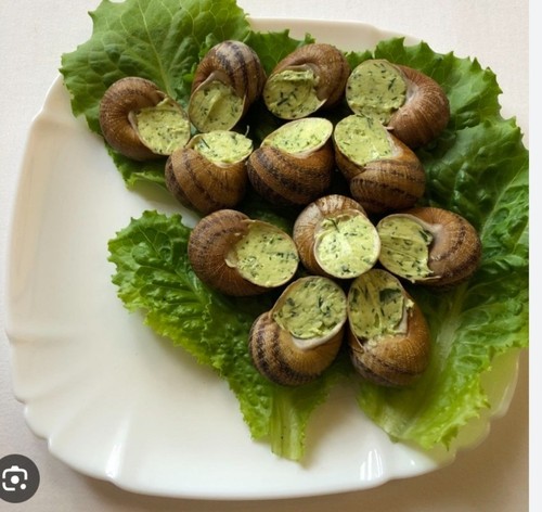 Luxury gourmet escargot pearl - luxury,