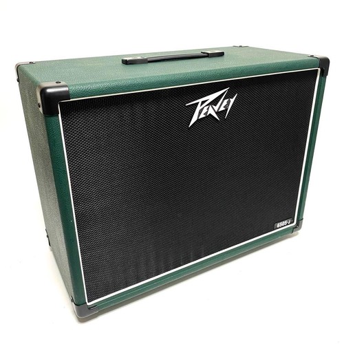 Peavey guitar amp - amp, 112-jl