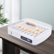 Eggs incubator automatic - eggs,