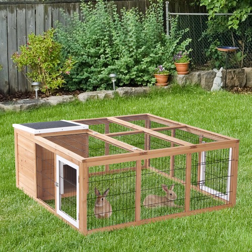 Rabbit hutch outdoor guinea - hutch,