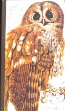 Book Of British Birds -