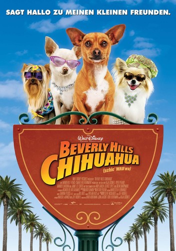 Beverly hills chihuahua 2008 - beverly,