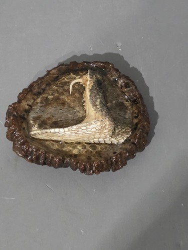 Vintage rattlesnake head belt - vintage,