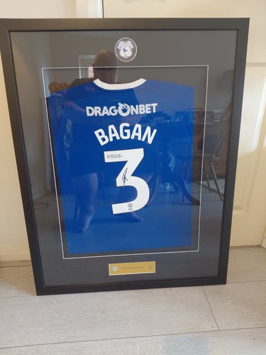 Cardiff city match - cardiff,