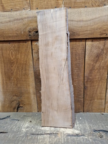 Live edge beech - live, (096)