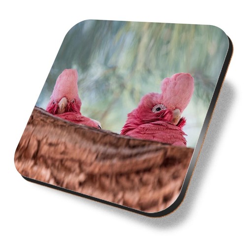 Square mdf coaster - coaster, galah