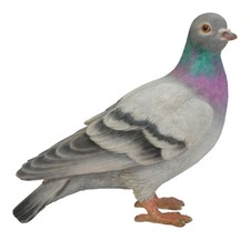 Pigeon Bird - Lifelike Garden Ornament - Indoor or Outdoor - Real Life NEW