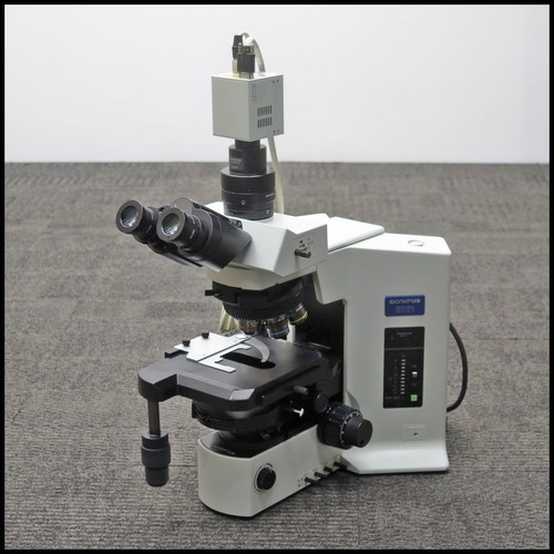 Olympus bx51trf system - olympus,