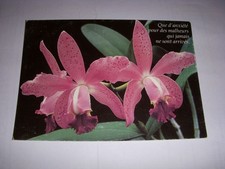 CP POSTCARD MESSAGE FLOWERS