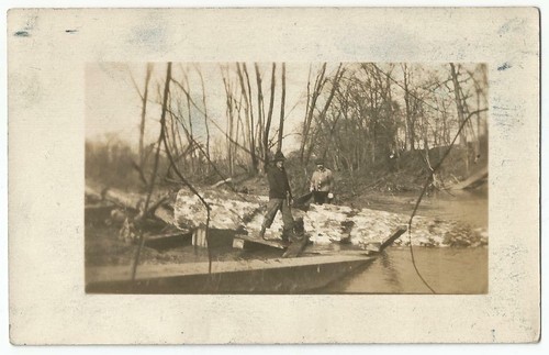 Men cutting large log - 2,