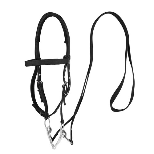 Aqingr horse bridle - aqingr,