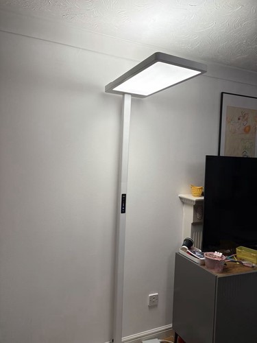 Modern large led - large, floor