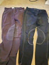 Mark Todd Gisborne And