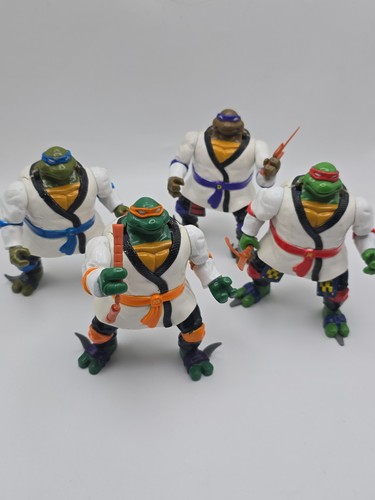 Teenage mutant ninja turtles - ninja,