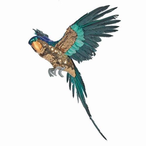 Blue and gold large - and, macaw