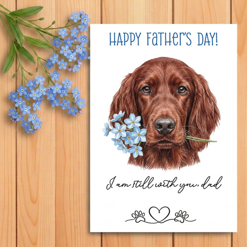 Irish red setter father - irish,
