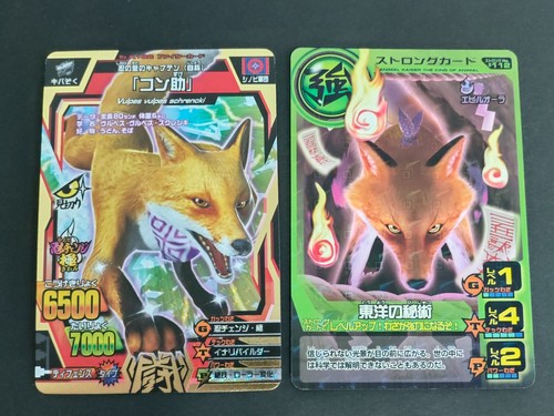 Great animal kaiser vulpes - animal,