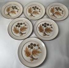 Denby Cotswold Dinner Plates