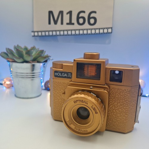 Holga gold 120 cfn - cfn, lomography