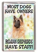 Belgian shepherd dog - shepherd, dog(terv)