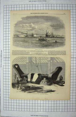 Old antique print 1859 - antique,
